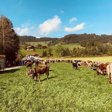 Seeperle Souterrain * 松托芬