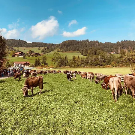 Seeperle Souterrain * 松托芬